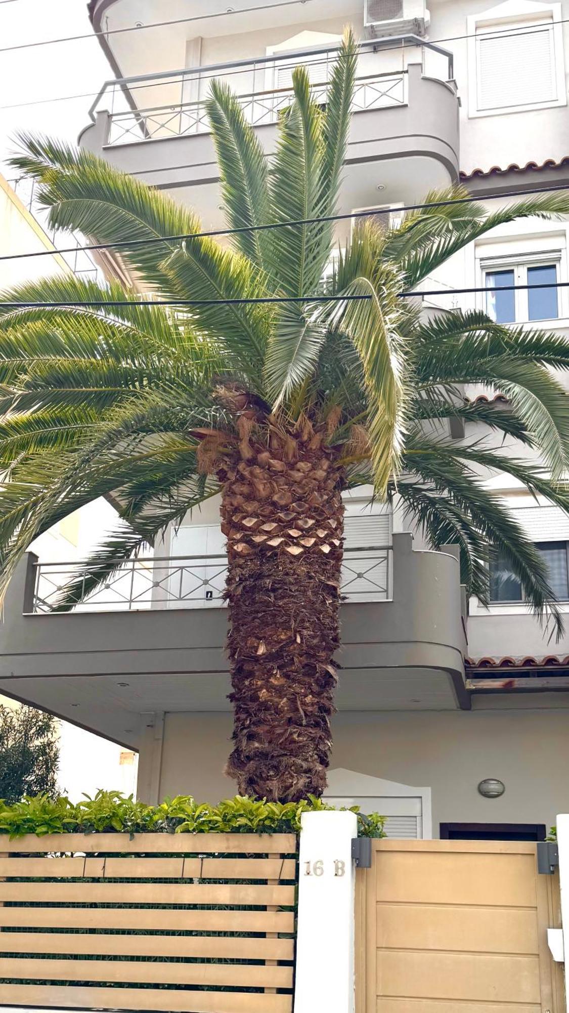 Elegant Glyfada Apartment-Private Garden-Near Metro Athen Eksteriør bilde